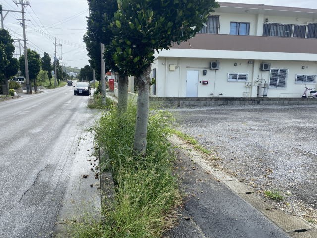 前面道路